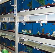 fish tanks